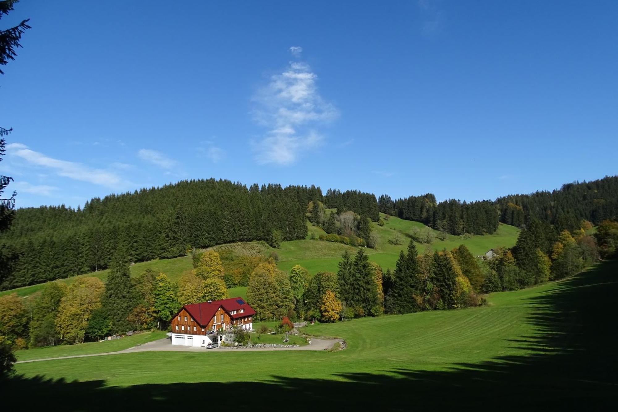 Ferienwohnung Boeck, Wengen Im Allgaeu 바이트나우 외부 사진